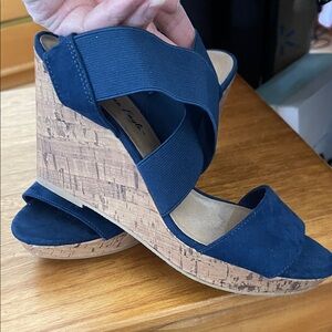 American Eagle Outfitters Navy Wedge Sandals